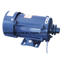 Zcheng motor de prueba de explosión de la máquina Zcmt-220V